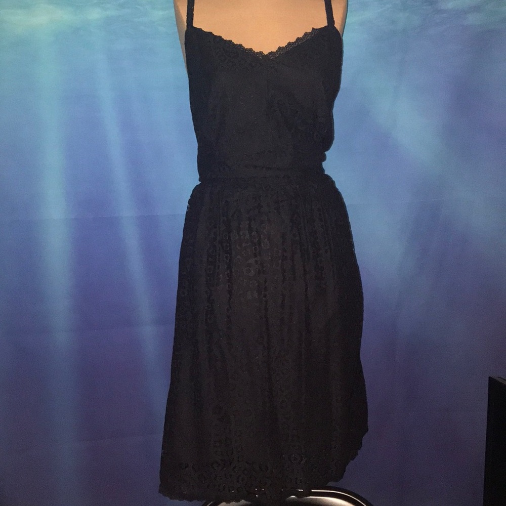 Plus size lace dress.